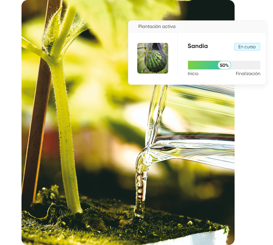 Imagen de monitoreo de cultivos