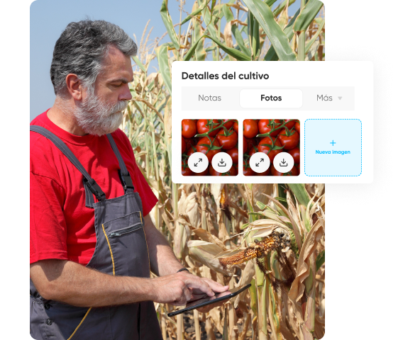 Imagen de administración de parcelas