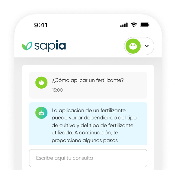 Mockup Asistente